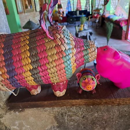 Planta Glamp Farm Hotel Santa Maria Huatulco Ngoại thất bức ảnh