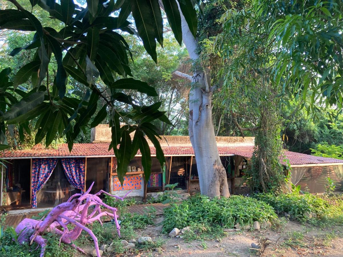 Planta Glamp Farm Hotel Santa Maria Huatulco Ngoại thất bức ảnh
