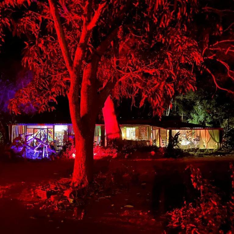 Planta Glamp Farm Hotel Santa Maria Huatulco Ngoại thất bức ảnh