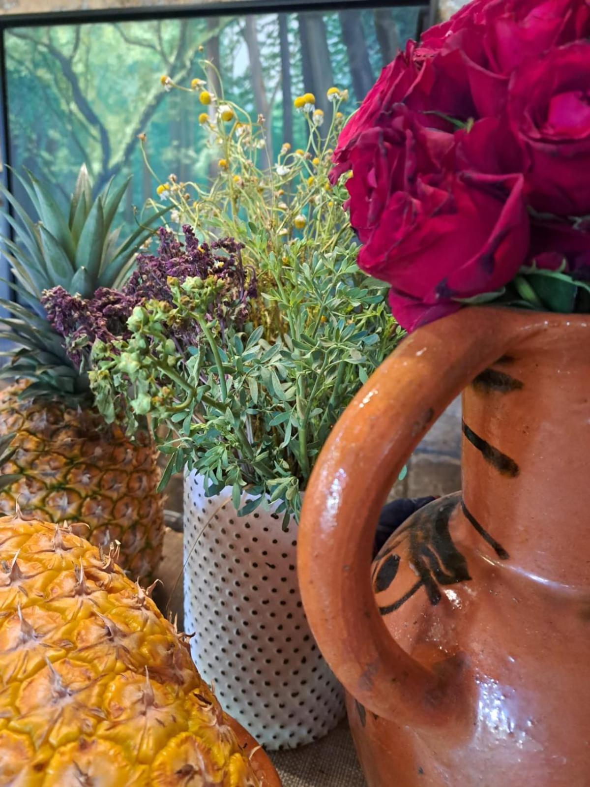 Planta Glamp Farm Hotel Santa Maria Huatulco Ngoại thất bức ảnh